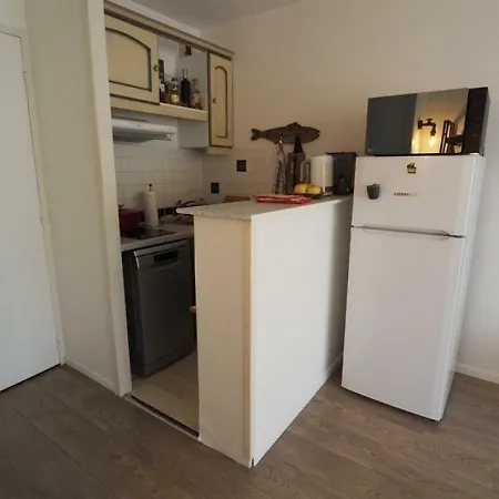 Studio Cabine 4 Personnes Proche Du Centre D'arcachon Avec Terrasse Exposee Sud Et Acces Direct Plage Arcachon